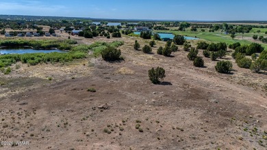 Your very own pond! Absolutely Gorgeous property close to Birdy on Silver Creek Golf Club in Arizona - for sale on GolfHomes.com, golf home, golf lot