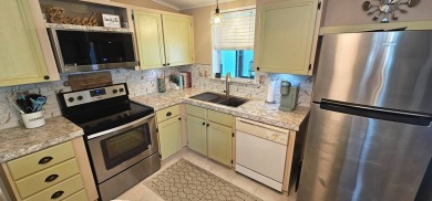Modern and Updated 2 bedroom 2 bath home WITH EXTRAS in 55 + on Zephyrhills Municipal Golf Course in Florida - for sale on GolfHomes.com, golf home, golf lot