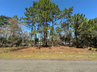 Prime Vacant Lot in Citrus Springs - Build Your Dream Home! on Citrus Springs Country Club in Florida - for sale on GolfHomes.com, golf home, golf lot