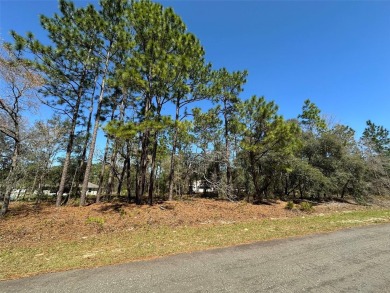Prime Vacant Lot in Citrus Springs - Build Your Dream Home! on Citrus Springs Country Club in Florida - for sale on GolfHomes.com, golf home, golf lot