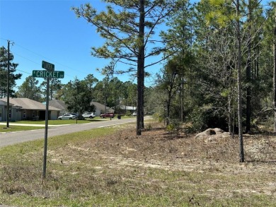 Prime Vacant Lot in Citrus Springs - Build Your Dream Home! on Citrus Springs Country Club in Florida - for sale on GolfHomes.com, golf home, golf lot
