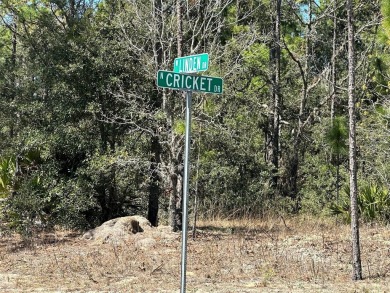 Prime Vacant Lot in Citrus Springs - Build Your Dream Home! on Citrus Springs Country Club in Florida - for sale on GolfHomes.com, golf home, golf lot