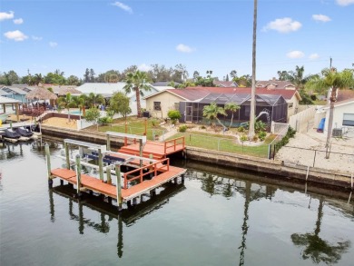 Welcome to your dream waterfront oasis in Apollo Beach! This on Apollo Beach Golf and Sea Club in Florida - for sale on GolfHomes.com, golf home, golf lot