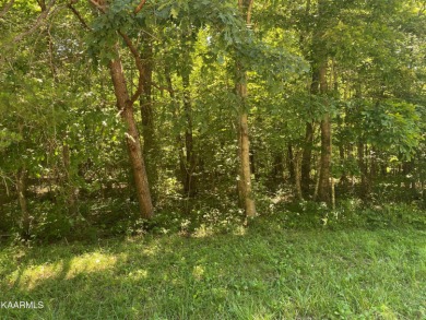 Really nice all wooded lot in Cumberland Cove.

Can be bought on Mountain Ridge Golf Club in Tennessee - for sale on GolfHomes.com, golf home, golf lot