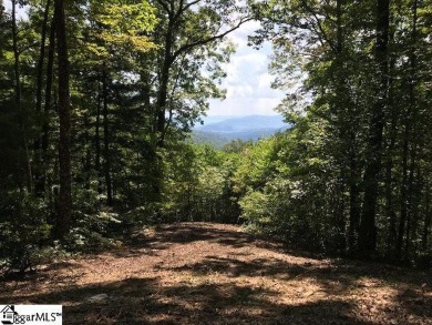 Nestled in the mountains just minutes from Greenville, SC, make on The Cliffs Valley Golf Course in South Carolina - for sale on GolfHomes.com, golf home, golf lot