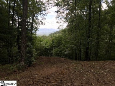 Nestled in the mountains just minutes from Greenville, SC, make on The Cliffs Valley Golf Course in South Carolina - for sale on GolfHomes.com, golf home, golf lot
