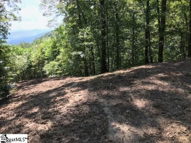Nestled in the mountains just minutes from Greenville, SC, make on The Cliffs Valley Golf Course in South Carolina - for sale on GolfHomes.com, golf home, golf lot