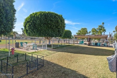 OWNER FINANCING AVAILABLE. Wonderful mobile in Apache Wells 55+ on Apache Wells Country Club in Arizona - for sale on GolfHomes.com, golf home, golf lot