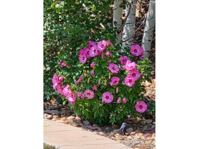 Experience unparalleled luxury in this stunning estate on Grandview Golf Course in Colorado - for sale on GolfHomes.com, golf home, golf lot