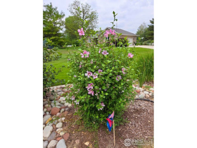 Experience unparalleled luxury in this stunning estate on Grandview Golf Course in Colorado - for sale on GolfHomes.com, golf home, golf lot