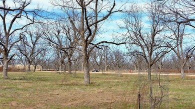 An exceptional opportunity to own a premier aviation lot in the on Nutcracker Golf Club in Texas - for sale on GolfHomes.com, golf home, golf lot