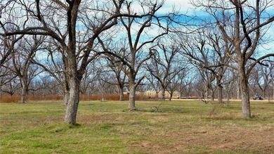 An exceptional opportunity to own a premier aviation lot in the on Nutcracker Golf Club in Texas - for sale on GolfHomes.com, golf home, golf lot