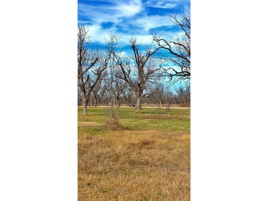 An exceptional opportunity to own a premier aviation lot in the on Nutcracker Golf Club in Texas - for sale on GolfHomes.com, golf home, golf lot