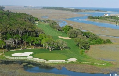 Step into the perfect blend of charm, comfort, and scenic beauty on Tidewater Golf Club and Plantation in South Carolina - for sale on GolfHomes.com, golf home, golf lot