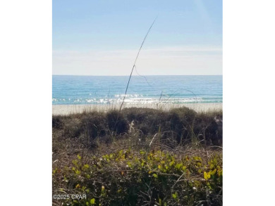 Beautifully Updated Gulf-View Condo in Edgewater Beach Resort - on Edgewater Beach Resort in Florida - for sale on GolfHomes.com, golf home, golf lot