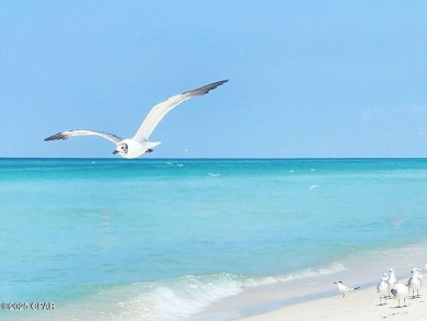 Beautifully Updated Gulf-View Condo in Edgewater Beach Resort - on Edgewater Beach Resort in Florida - for sale on GolfHomes.com, golf home, golf lot