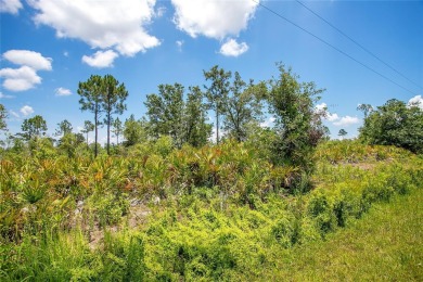 Discover the perfect canvas for your dream home at 4000 Gerona on Sun n Lake Golf and Country Club in Florida - for sale on GolfHomes.com, golf home, golf lot