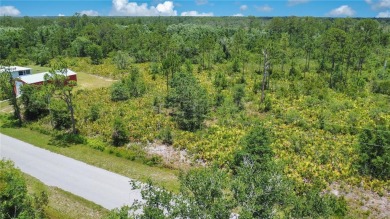 Discover the perfect canvas for your dream home at 4000 Gerona on Sun n Lake Golf and Country Club in Florida - for sale on GolfHomes.com, golf home, golf lot
