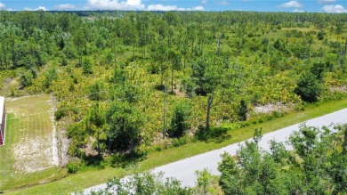 Discover the perfect canvas for your dream home at 4000 Gerona on Sun n Lake Golf and Country Club in Florida - for sale on GolfHomes.com, golf home, golf lot