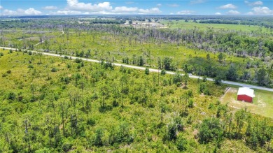 Discover the perfect canvas for your dream home at 4000 Gerona on Sun n Lake Golf and Country Club in Florida - for sale on GolfHomes.com, golf home, golf lot