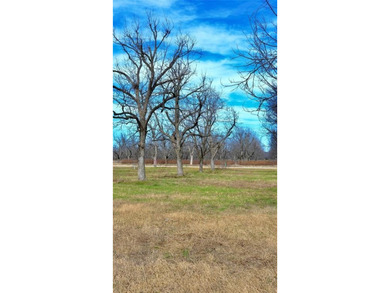 Welcome to your fly-in, fly-out opportunity in The Landings East on Nutcracker Golf Club in Texas - for sale on GolfHomes.com, golf home, golf lot