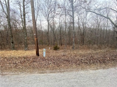Looking for an affordable area with beauty, serenity, & so much on Bella Vista Country Club - Berksdale in Arkansas - for sale on GolfHomes.com, golf home, golf lot
