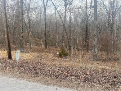 Looking for an affordable area with beauty, serenity, & so much on Bella Vista Country Club - Berksdale in Arkansas - for sale on GolfHomes.com, golf home, golf lot