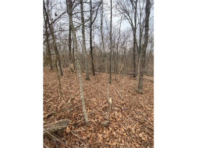 Looking for an affordable area with beauty, serenity, & so much on Bella Vista Country Club - Berksdale in Arkansas - for sale on GolfHomes.com, golf home, golf lot