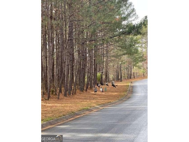 Tucked away at the end of a quiet cul-de-sac, Lot 72 at 124 on Hawks Ridge Golf Club in Georgia - for sale on GolfHomes.com, golf home, golf lot