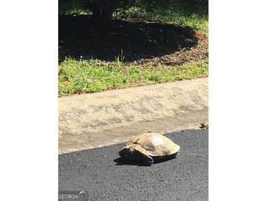 Tucked away at the end of a quiet cul-de-sac, Lot 72 at 124 on Hawks Ridge Golf Club in Georgia - for sale on GolfHomes.com, golf home, golf lot
