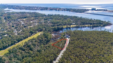 Large homesite (.610 acres) offers water views at rear of on Sharks Tooth Golf Club in Florida - for sale on GolfHomes.com, golf home, golf lot