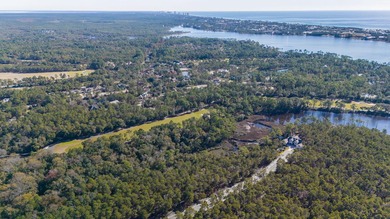 Large homesite (.610 acres) offers water views at rear of on Sharks Tooth Golf Club in Florida - for sale on GolfHomes.com, golf home, golf lot