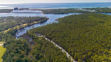 Large homesite (.610 acres) offers water views at rear of on Sharks Tooth Golf Club in Florida - for sale on GolfHomes.com, golf home, golf lot