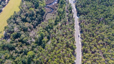 Large homesite (.610 acres) offers water views at rear of on Sharks Tooth Golf Club in Florida - for sale on GolfHomes.com, golf home, golf lot