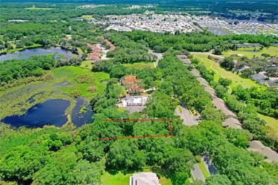Ready to build your dream home? Take advantage of this beautiful on The Links of Lake Bernadette in Florida - for sale on GolfHomes.com, golf home, golf lot