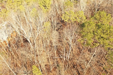 Premier Homesite in Chickasaw Point - Seasonal Lake Hartwell on The Trail At Chickasaw Pointe in South Carolina - for sale on GolfHomes.com, golf home, golf lot