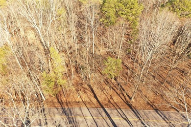 Premier Homesite in Chickasaw Point - Seasonal Lake Hartwell on The Trail At Chickasaw Pointe in South Carolina - for sale on GolfHomes.com, golf home, golf lot