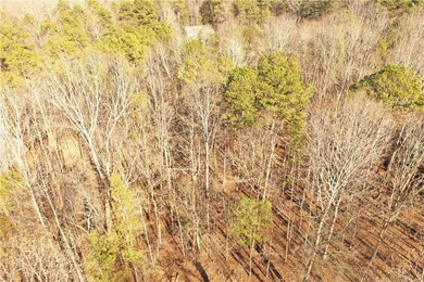 Premier Homesite in Chickasaw Point - Seasonal Lake Hartwell on The Trail At Chickasaw Pointe in South Carolina - for sale on GolfHomes.com, golf home, golf lot