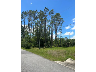 Under contract-accepting backup offers. Oversized, freshwater on The Grand Club Cypress Course in Florida - for sale on GolfHomes.com, golf home, golf lot