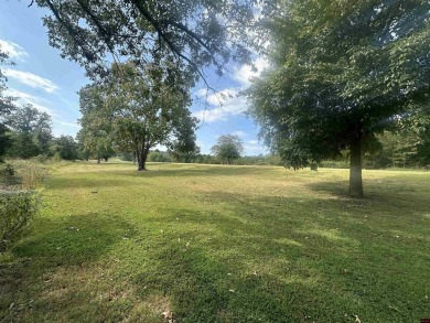 This spacious residential lot features 100 feet of frontage on on The Course At Turkey Mountain in Arkansas - for sale on GolfHomes.com, golf home, golf lot