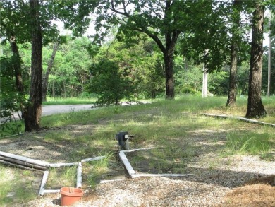 Move in ready Ranch home is waiting for YOU!! Well maintained 3 on Holiday Island Golf Course in Arkansas - for sale on GolfHomes.com, golf home, golf lot