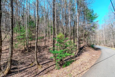 Are you ready to build your dream home in the North GA on White Path Golf Club in Georgia - for sale on GolfHomes.com, golf home, golf lot