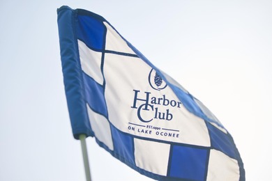 Wow!  Give yourself a gift with 20% price improvement on a on Harbor Club Golf and Country Club in Georgia - for sale on GolfHomes.com, golf home, golf lot