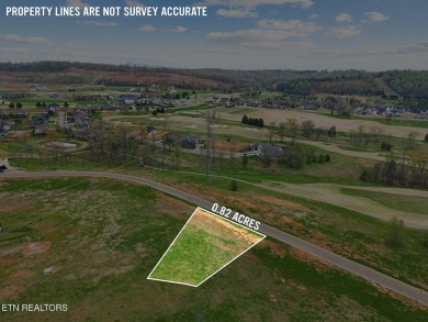Don't miss this fantastic opportunity to purchase this wonderful on Tennessee National Golf Club in Tennessee - for sale on GolfHomes.com, golf home, golf lot