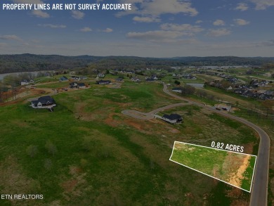 Don't miss this fantastic opportunity to purchase this wonderful on Tennessee National Golf Club in Tennessee - for sale on GolfHomes.com, golf home, golf lot