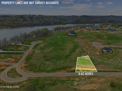 Don't miss this fantastic opportunity to purchase this wonderful on Tennessee National Golf Club in Tennessee - for sale on GolfHomes.com, golf home, golf lot