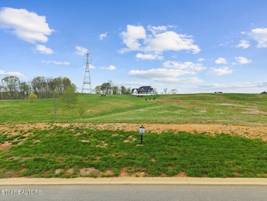 Don't miss this fantastic opportunity to purchase this wonderful on Tennessee National Golf Club in Tennessee - for sale on GolfHomes.com, golf home, golf lot
