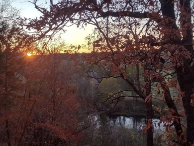 Experience lakeside living at its finest! This beautifully on Pointe Royale Village Country Club in Missouri - for sale on GolfHomes.com, golf home, golf lot