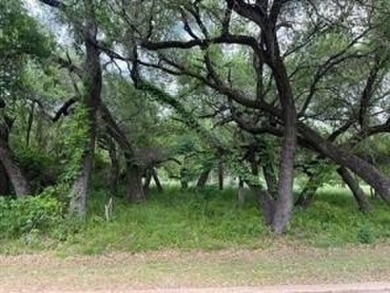 Premium treed golf course lot in White Bluff Resort on lake on White Bluff Resort - New Course in Texas - for sale on GolfHomes.com, golf home, golf lot