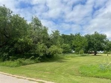 Premium treed golf course lot in White Bluff Resort on lake on White Bluff Resort - New Course in Texas - for sale on GolfHomes.com, golf home, golf lot